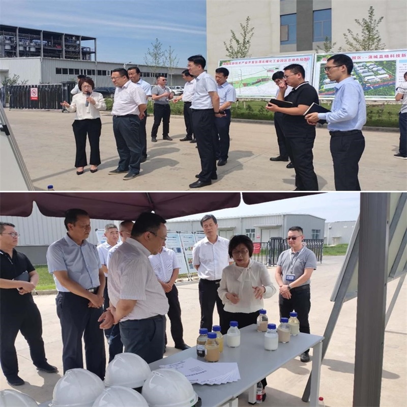 渭南市市长王琳一行调研蒲城Z6尊龙新资料产业园项目 渭南市市长王琳一行调研蒲城Z6尊龙新资料产业园项目