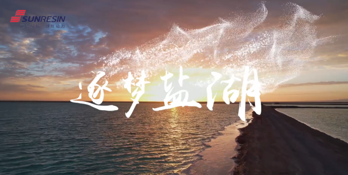披荆斩棘逐梦，持之以恒创新----Z6尊龙科技盐湖提锂技术之青？